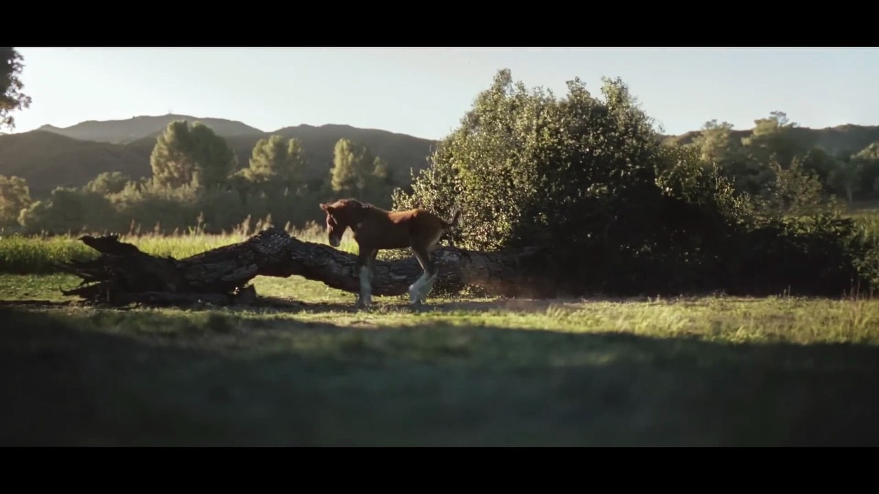 Budweiser’s Super Bowl LX Commercial American Icons