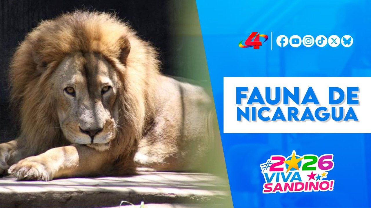 Zoológico Nacional de Nicaragua: refugio para la conservación de la fauna 🐆