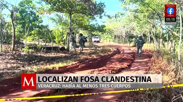 Horror en el sur de Veracruz: Localizan fosa clandestina con tres cuerpos