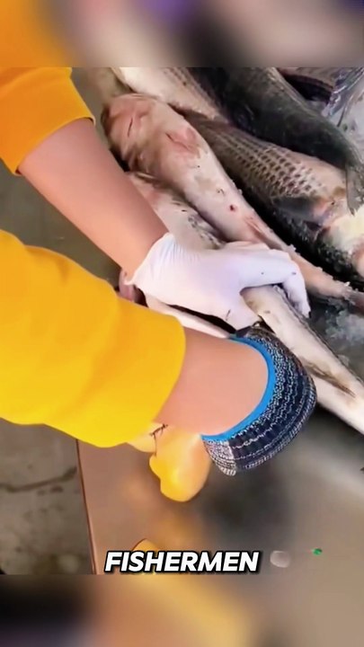 The Most Expensive Thing Hidden Inside a Fish 🤯