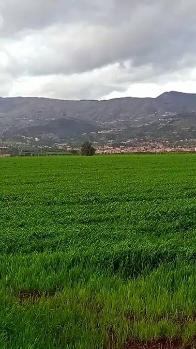 و بشر المؤمنين