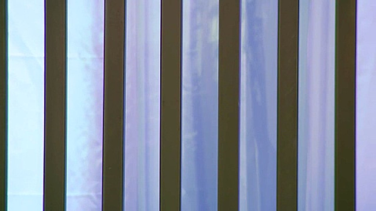 WELLNESS HOUSE Monitor feed 2025-07-04 at 14:34