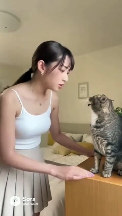 怒り続けると反抗期になる猫 #AI #sora2 #sora #chatgpt #AI美女 #AI美女比較