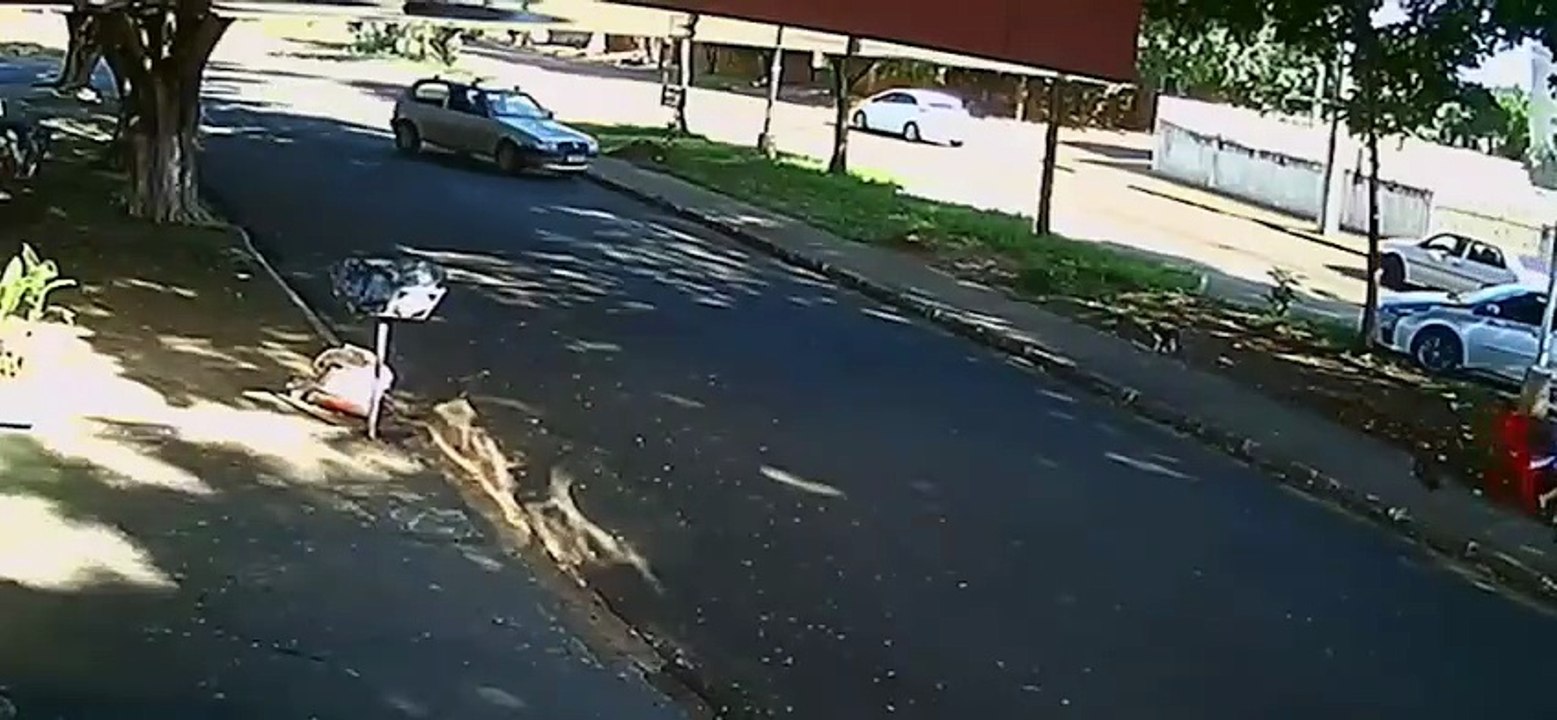 Motorista bêbado é indiciado por homicídio após atropelar idosa na calçada no Paraná