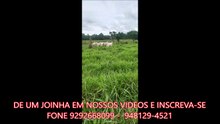 FAZENDA COM 238 ALQUEIRÃO A VENDA CMC