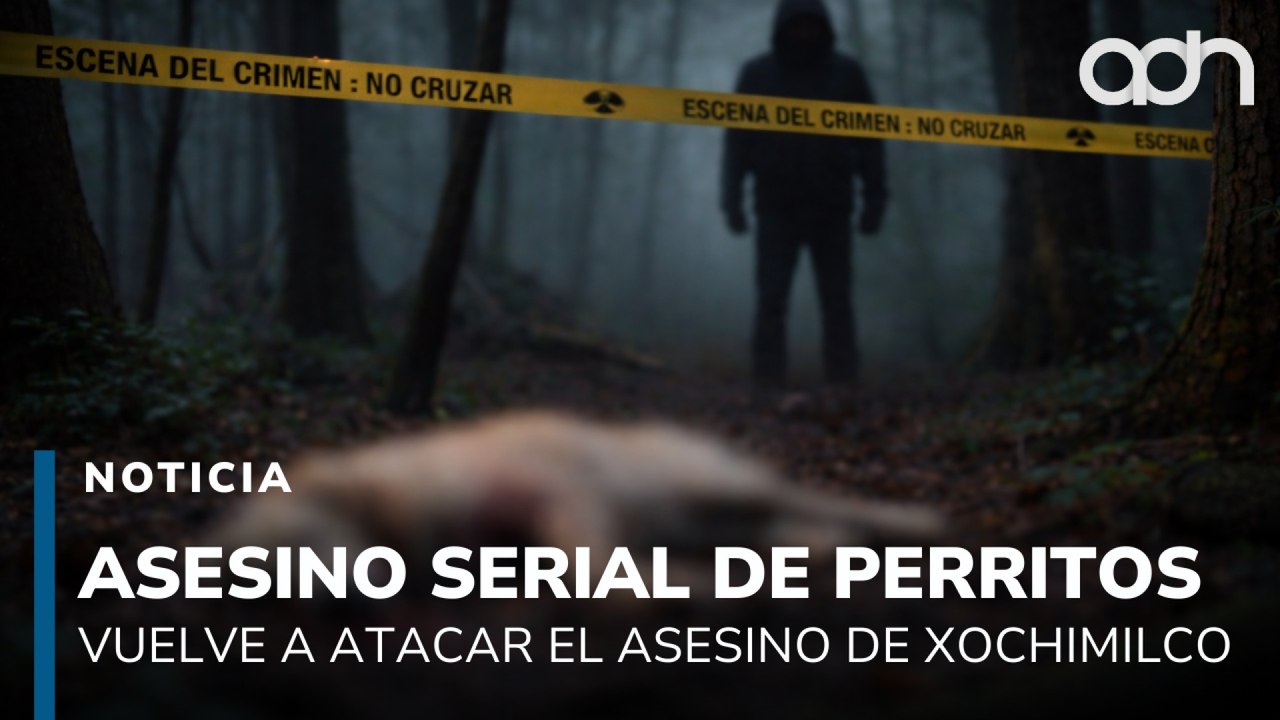 Vulve a atacar el asesino serial de perros de Xochimilco y ahora es más violento