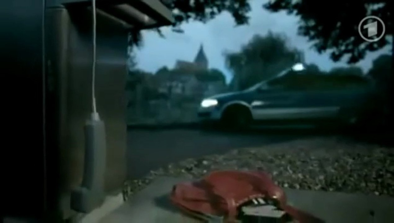 Polizeiruf 110 -340- Wolfsland