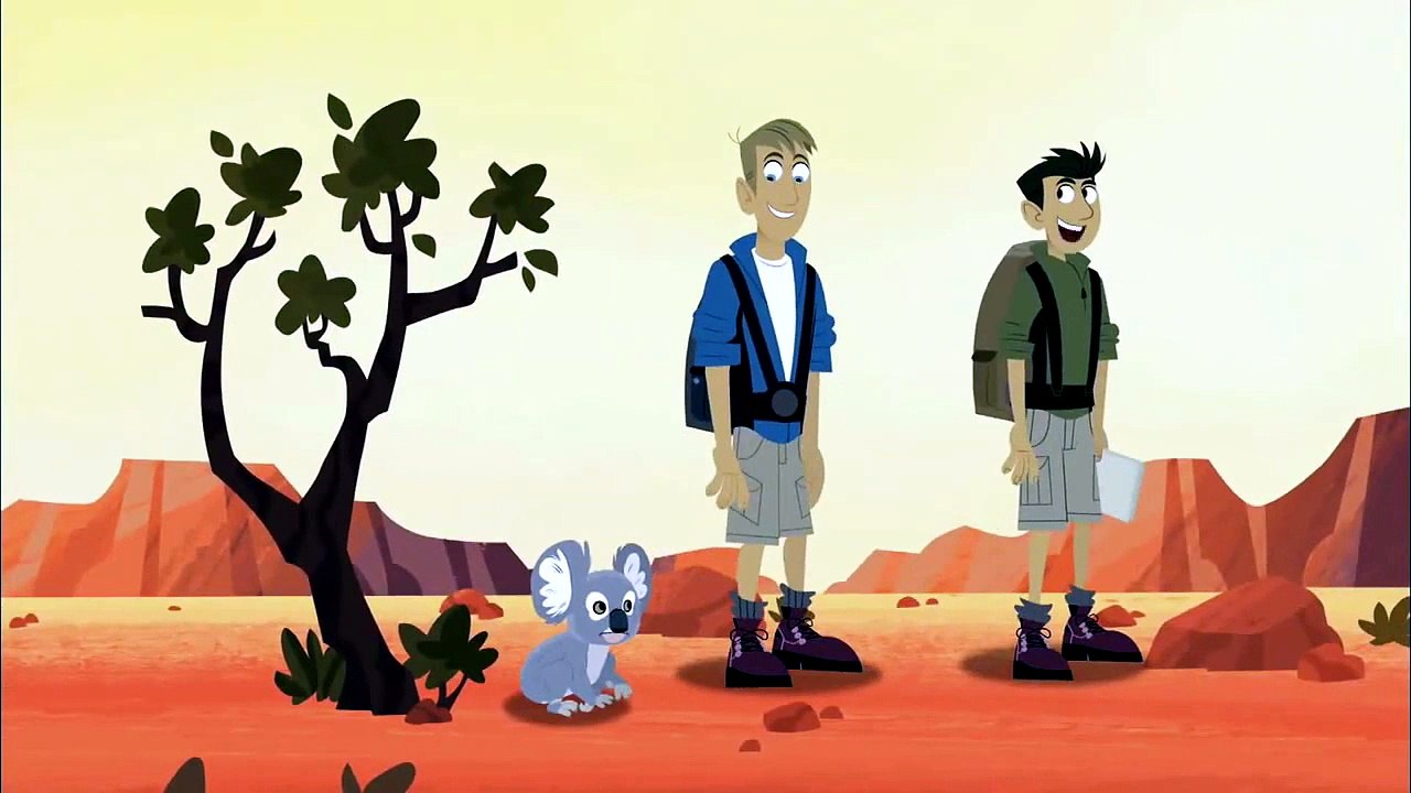 Wild Kratts - All About Koalas