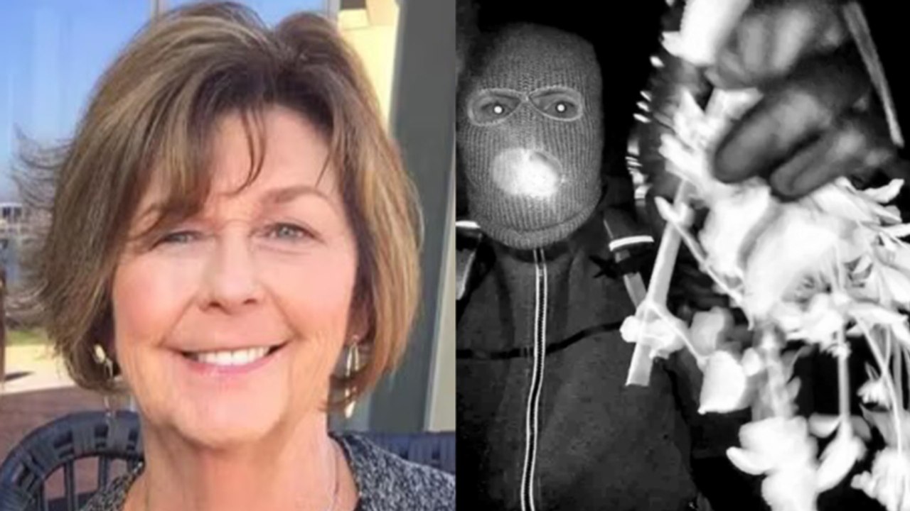 Surveillance Photos of Potential Nancy Guthrie...