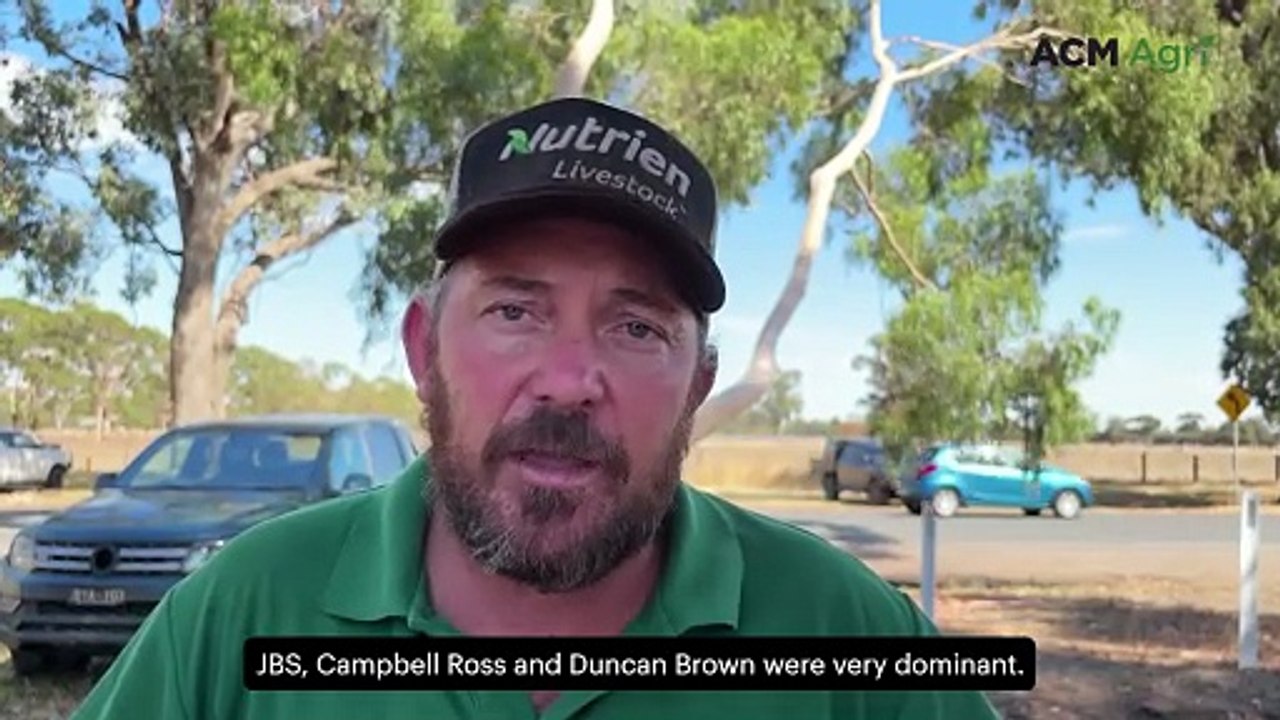 'Very good sale' for conditions as numbers blow out at Euroa