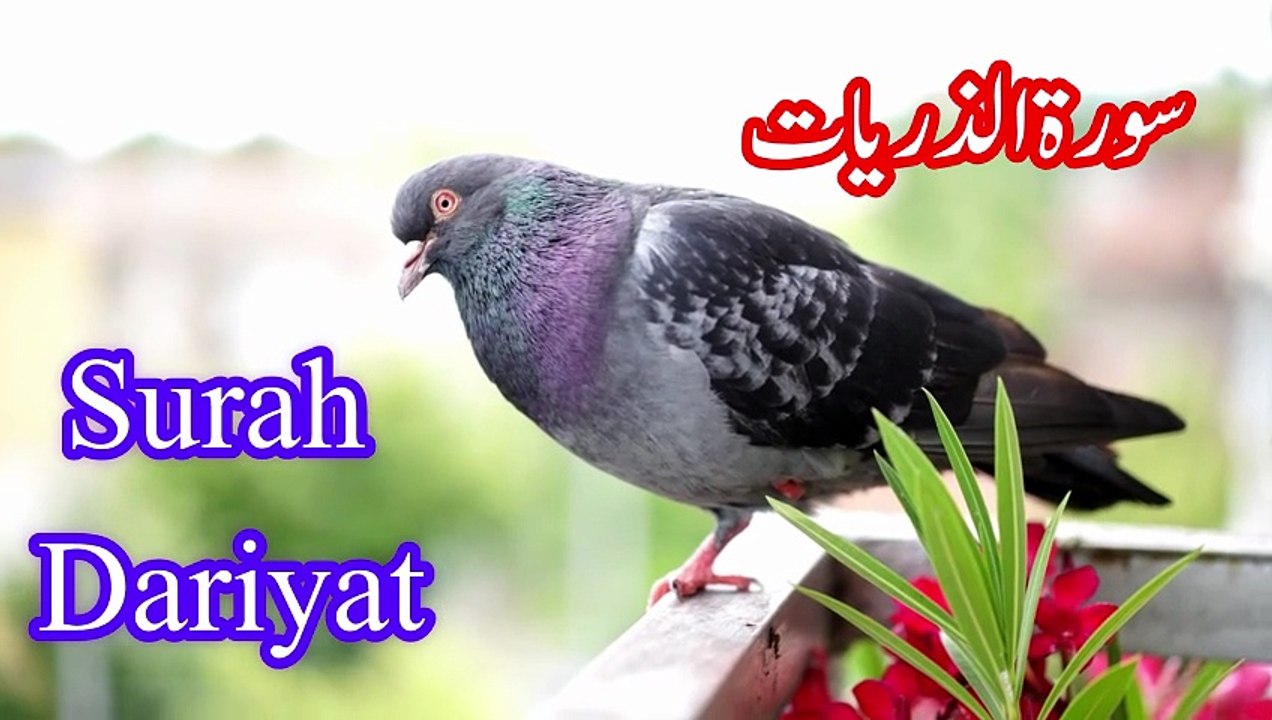 Surah Adh-Dhariyat (الذاريات) Rizq Allah Ke Hath Mein | Powerful Quran Recitation