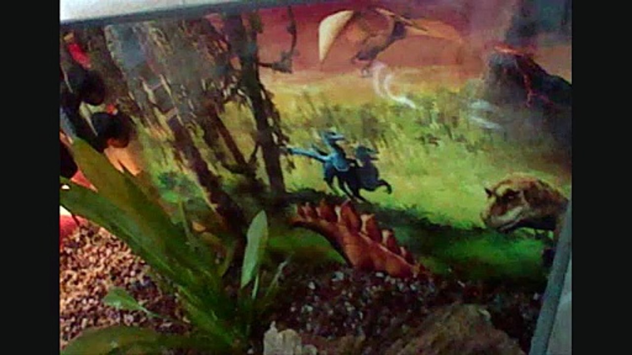 fishis chronik