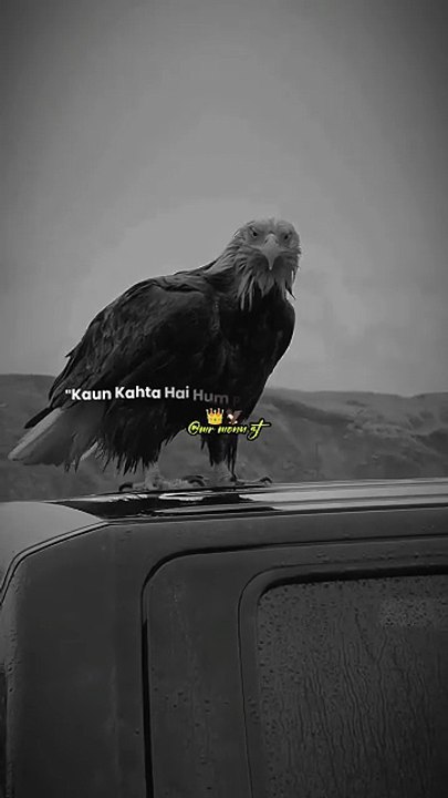 Mujhe_Dhoodhti_Rahti_Hai_trending_dialogue_motivation_attitude_2026