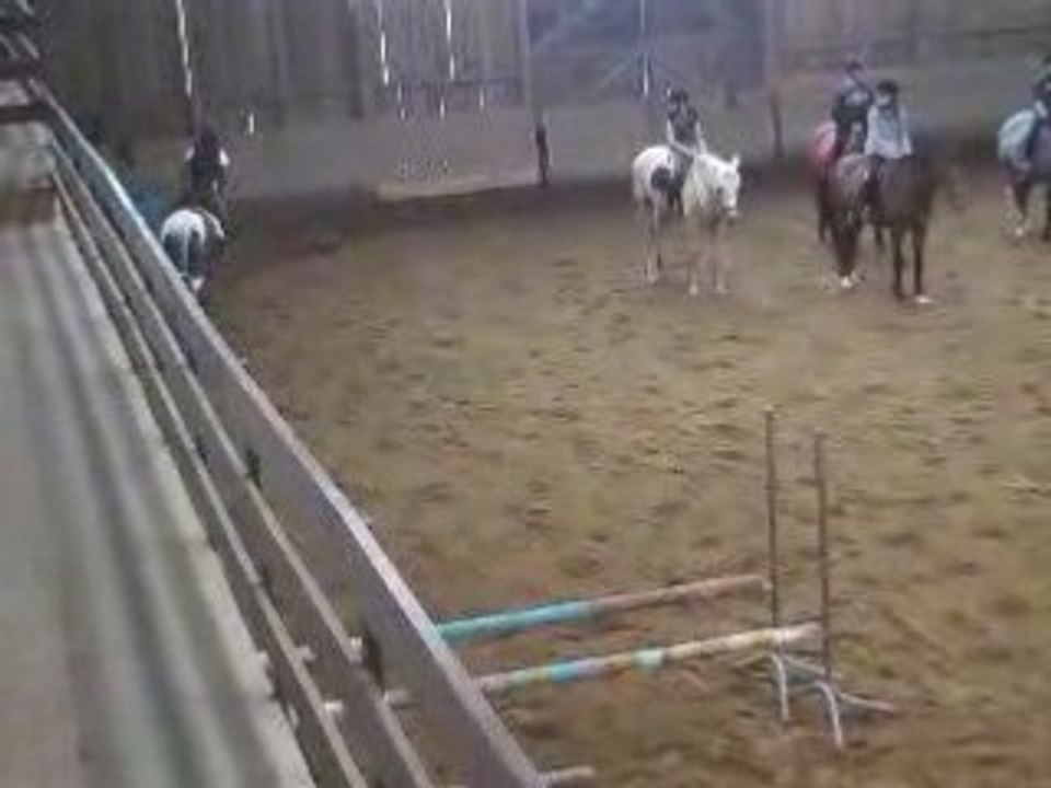 Cheyenne et nani