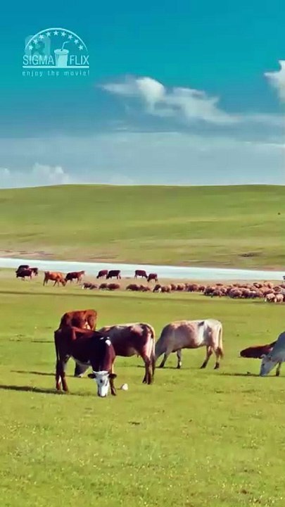 Tanz Ums ÜBerleben Synchronisierung