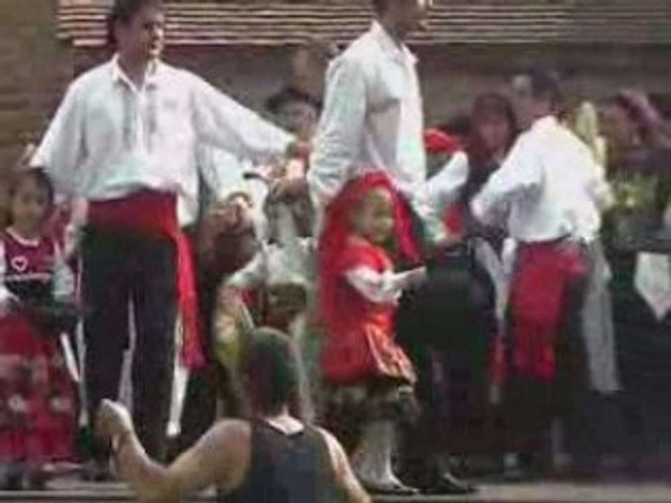 Malhão dos lusitanos