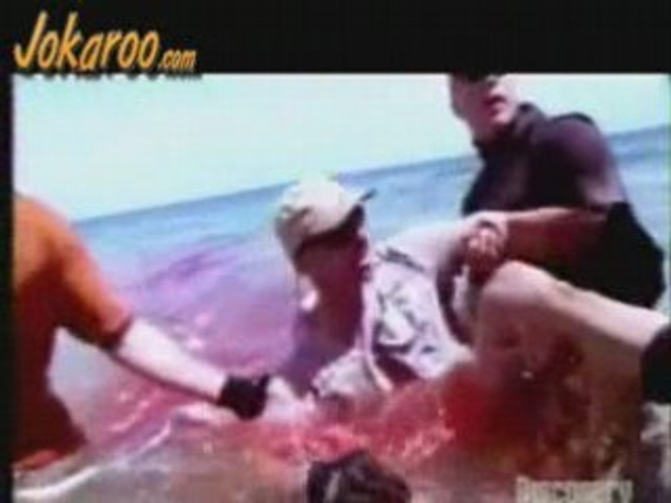 REQUIN ATTAQUE HUMAIN CHOC !!!!!!!!!!!!!