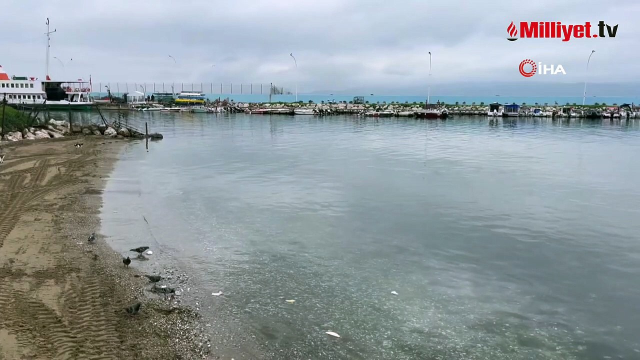 5 yaşındaki oğluyla denize atladı, yalnız çıktı! Annden kan donduran ifade: Yüzmek istedik, sonra ölmek