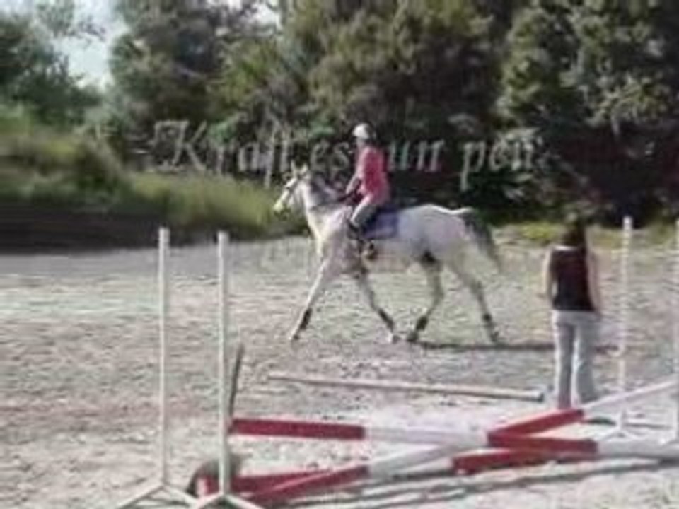 Le 30 mai 2008 au Plessis