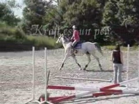 Le 30 mai 2008 au Plessis