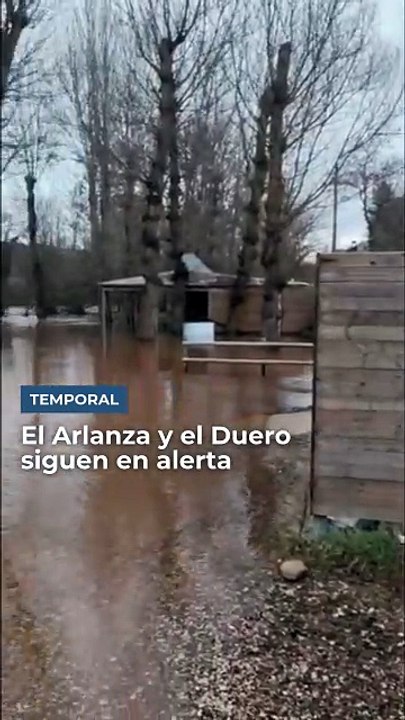 Arlanza Bueno