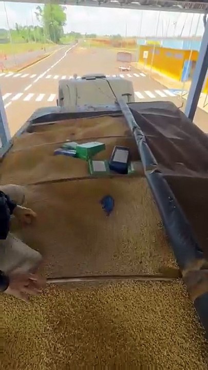 PRF apreende 3,1 toneladas de maconha escondidas em carga de soja na BR-163