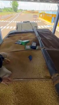 PRF apreende 3,1 toneladas de maconha escondidas em carga de soja na BR-163
