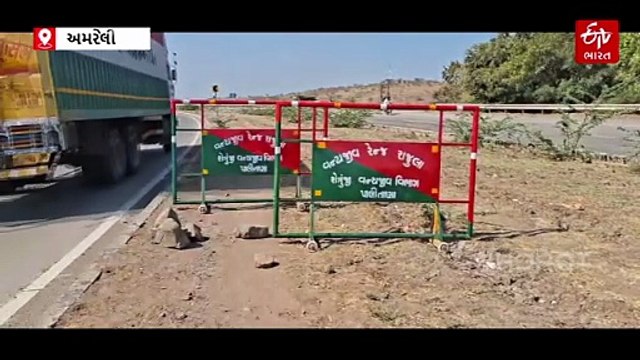 ભાવનગર–સોમનાથ નેશનલ હાઇવે સિંહો માટે નેશનલ હાઇવ પર અંડર બ્રિજ બનાવવાની માંગ
