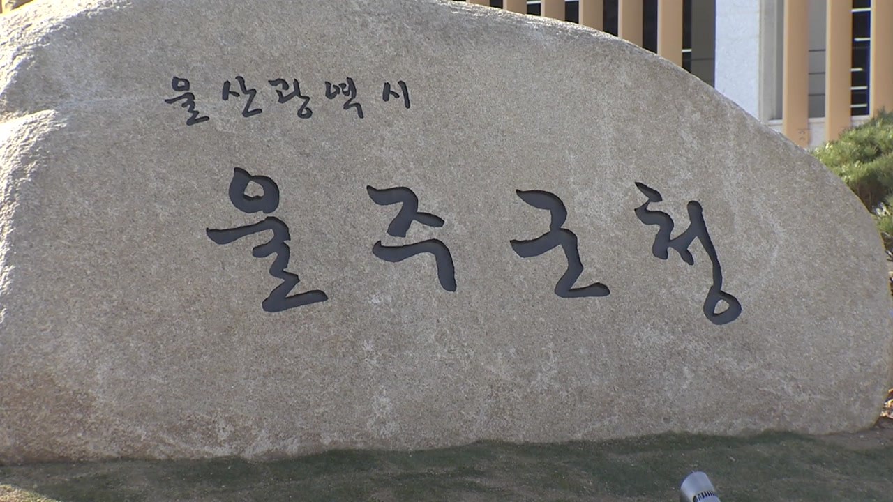 [울산] 울산 울주군, 소상공인 대출 이자 지원 사업 추진 / YTN