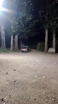 Daños y árboles caídos en Tunuyán