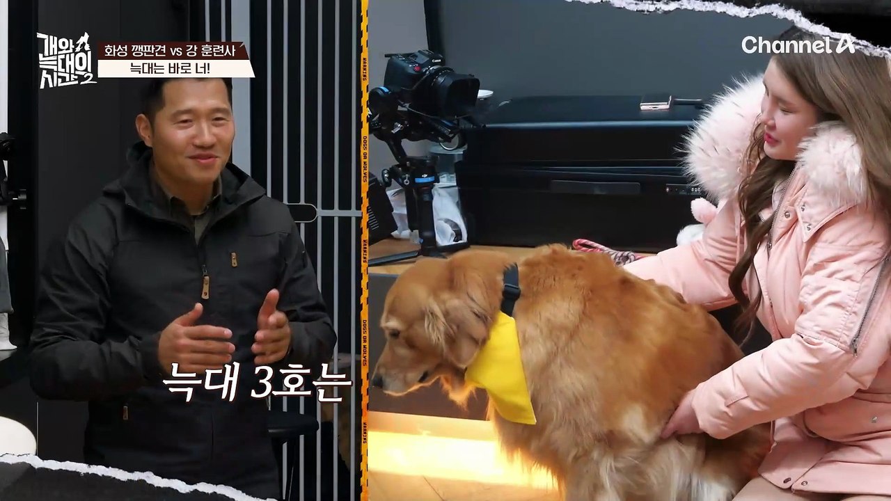 본인과 본인 개가 우선이라 다른 개는 배려하지 않는 보호자?!
