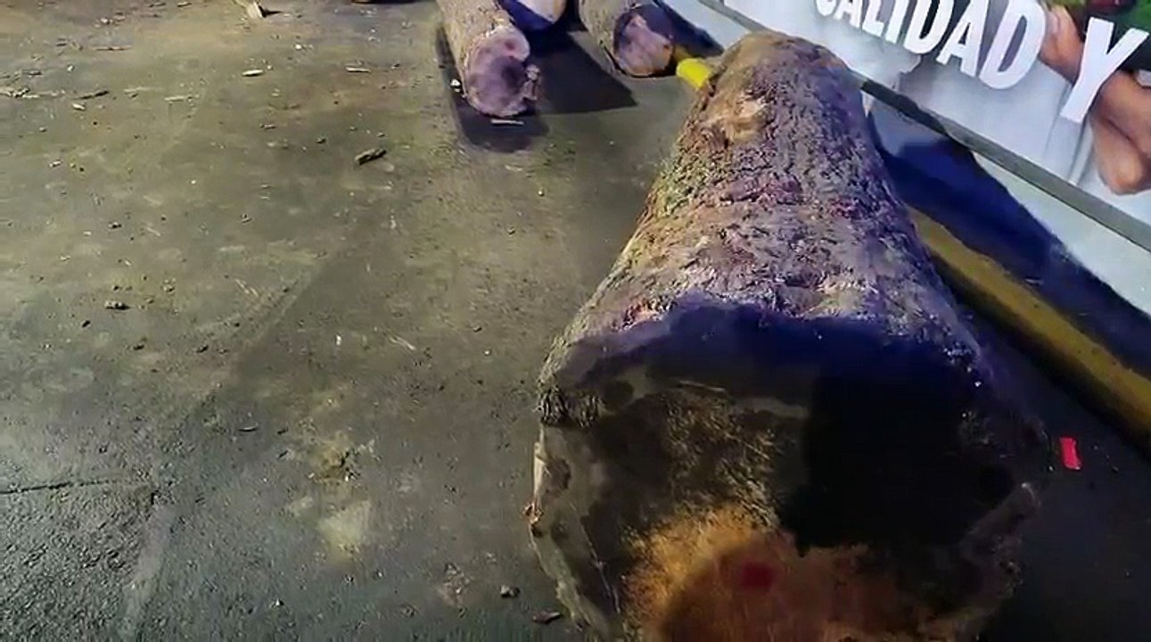 Tráiler cargado con troncos colapsa la circulación en Constituyentes tras tirar carga