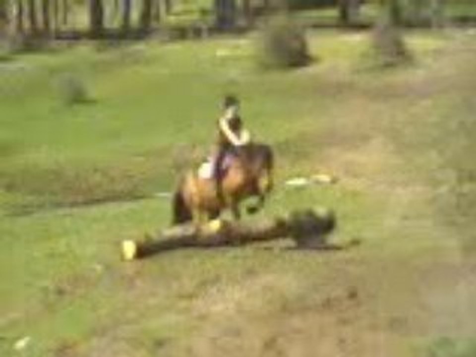 Koka & Moi Cross