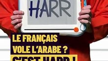 Quand « harr » entre dans le dictionnaire : le parcours d’un mot venu de l’arabe