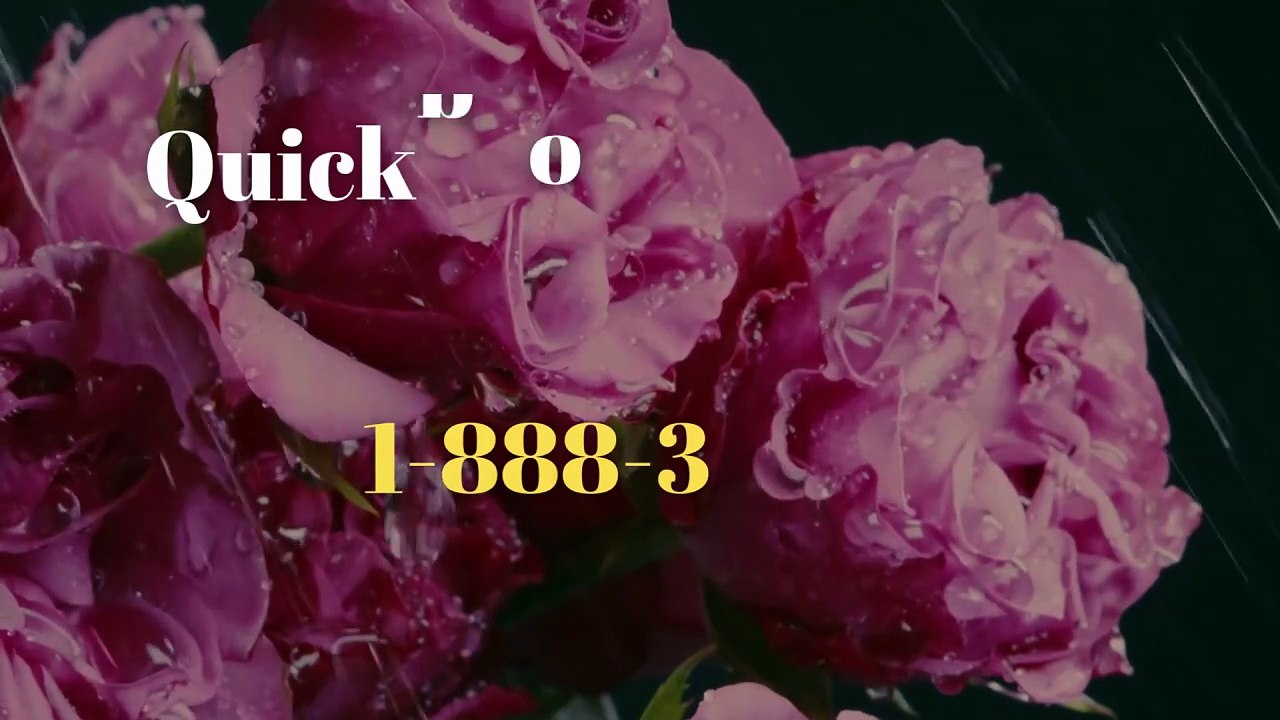 QUICKBOOK™® PAYRoLL™ SUPPORT℠ NUMBER™ USA®: FULL ULTiMATE GUIDE (2030)