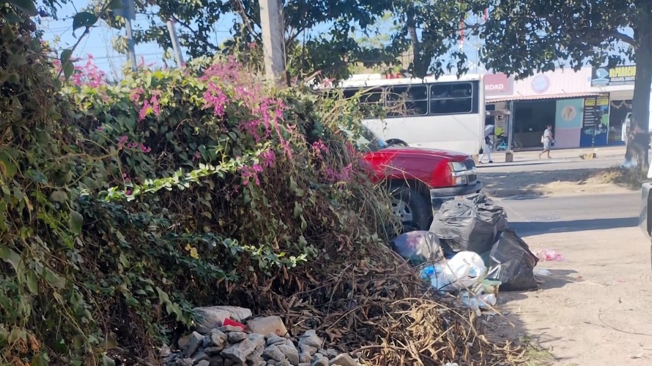 Vecinos de Los Tamarindos exigen mejoras en Ixtapa | CPS Noticias Puerto Vallarta