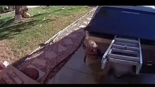 1 Fails #fails #funny #epic #memes #viralvideo #co