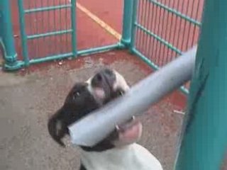 BORDELIK CLIK - BLOQUE