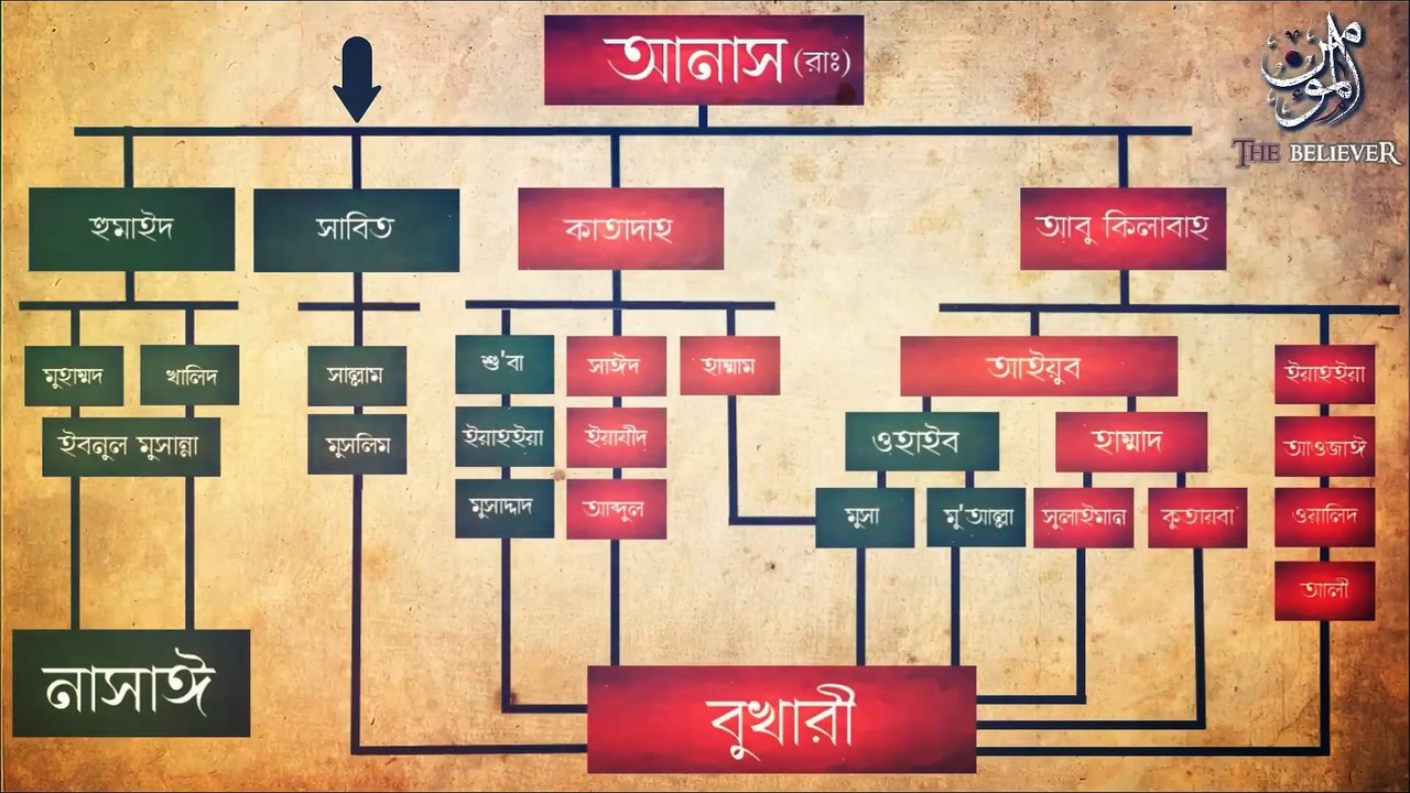 _উটের প্রস্রাব পান_ করার বিষয়ে বুখারীর নোংরা জাল হাদিসটির পোস্টমর্টেম বা ময়নাতদন্ত করা হলো।