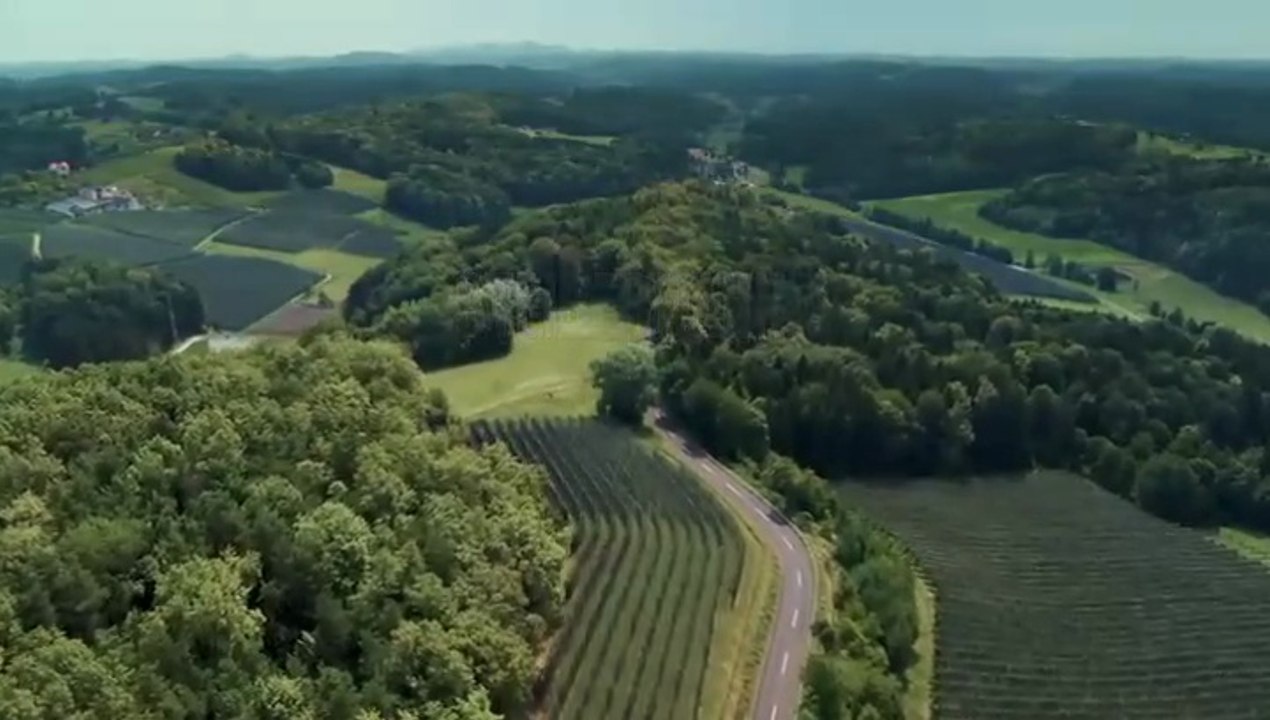 Landkrimi -39- Steirerwahn