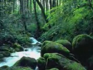 Axel fernando, te equivocas