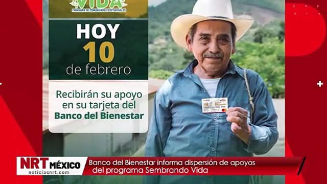 Banco del Bienestar informa dispersión de apoyos del programa Sembrando Vida