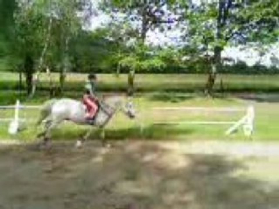 saut scumi