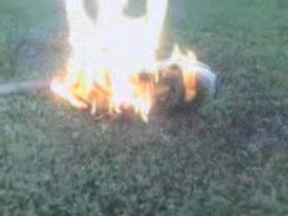 Video-0010