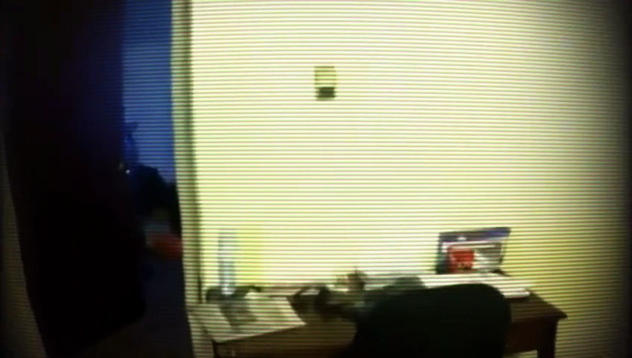 Top 5 Most Disturbing Videos Caught on Camera