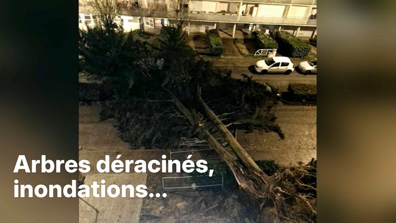 Tempête Nils: de nombreux dégâts dans le sud-ouest après de violentes rafales de vent