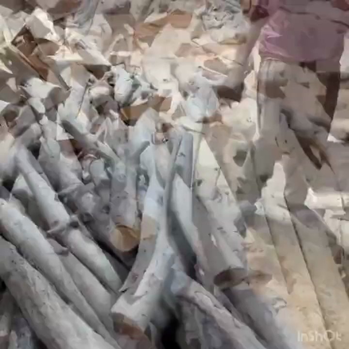 Wooden Incredible
