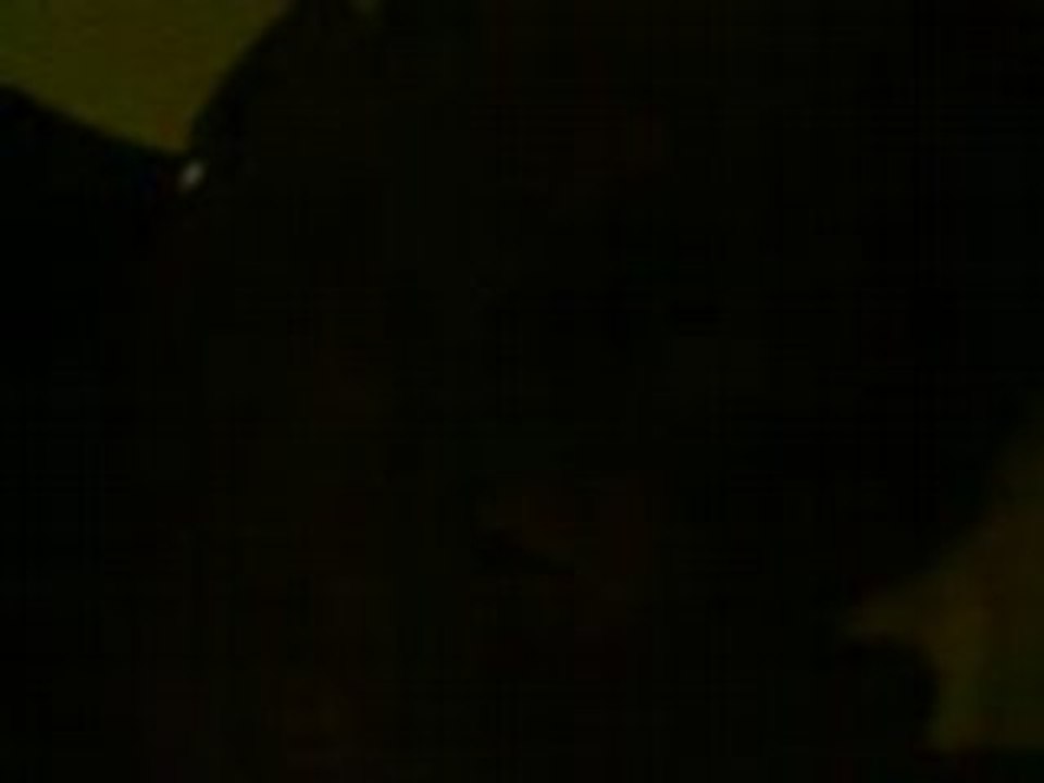 MOV00173