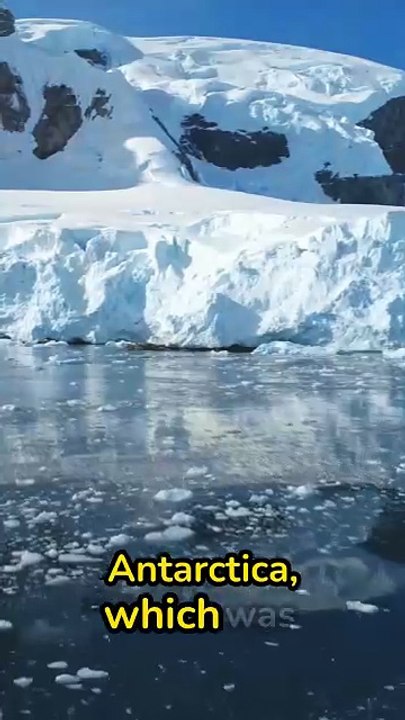 NYC Experiences Colder Temperatures than Antarctica in Severe Cold Wave