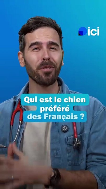 Qui sont vos chiens préférés ? - les conseils du Dr Fabing